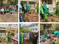 Tree plantation