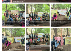 Tree plantation